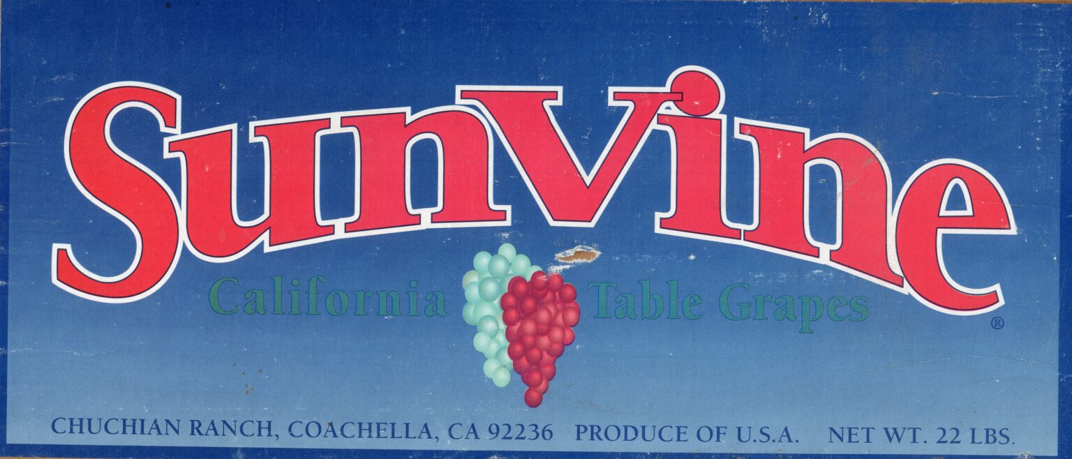 Sun Vine